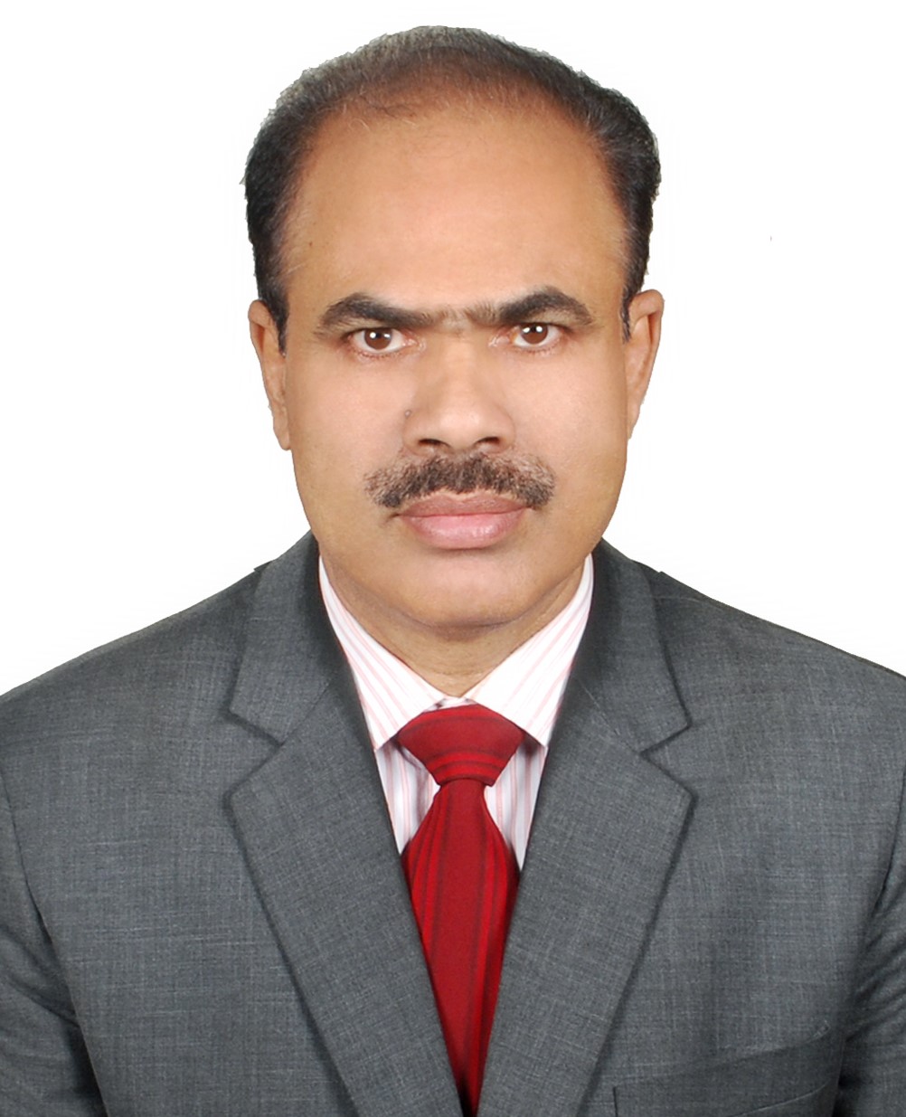 Vice Principal